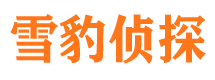 两当小三调查